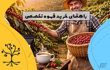 راهنمای خرید قهوه تخصصی