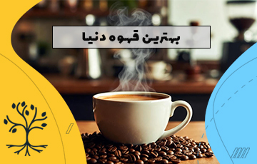 بهترین قهوه دنیا